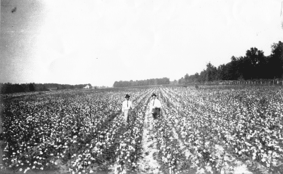 1908 – Ferdinand Tonney Farm in Swifton