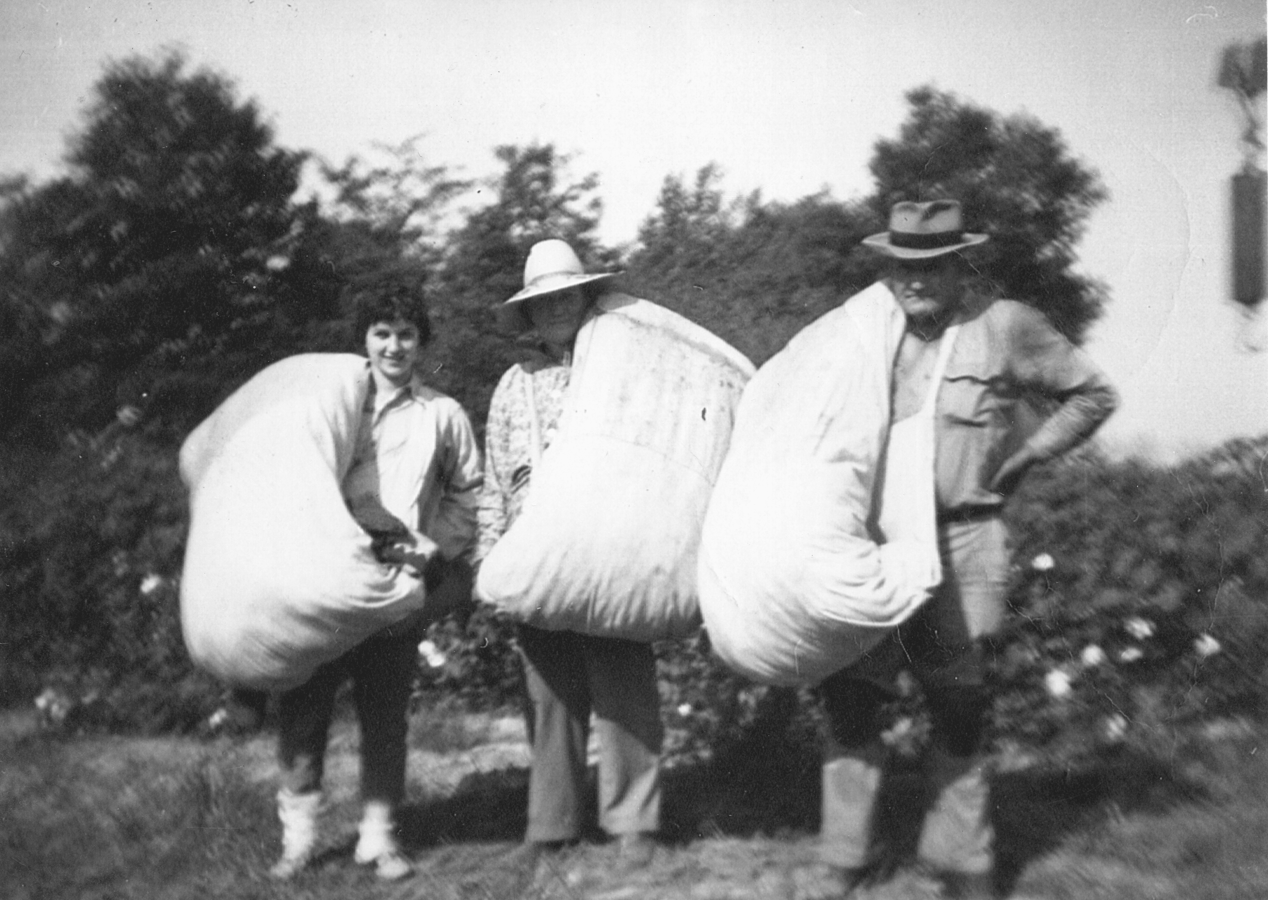 1960’s – Swifton Cotton Pickers